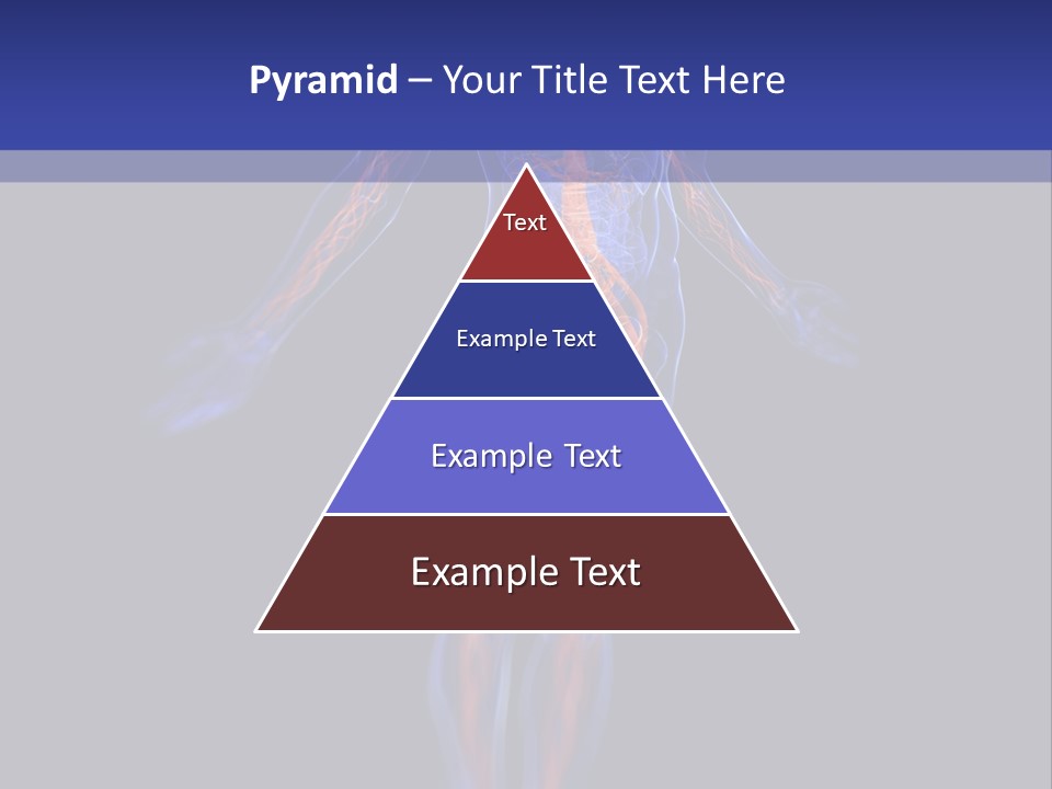 Cardio Body Man PowerPoint Template