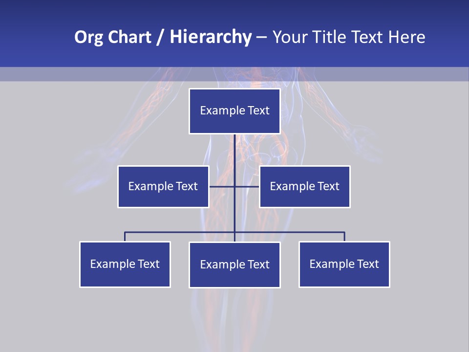 Cardio Body Man PowerPoint Template