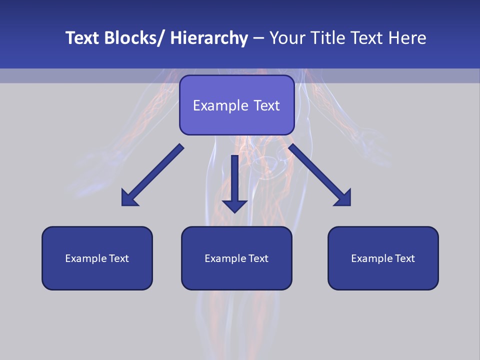 Cardio Body Man PowerPoint Template