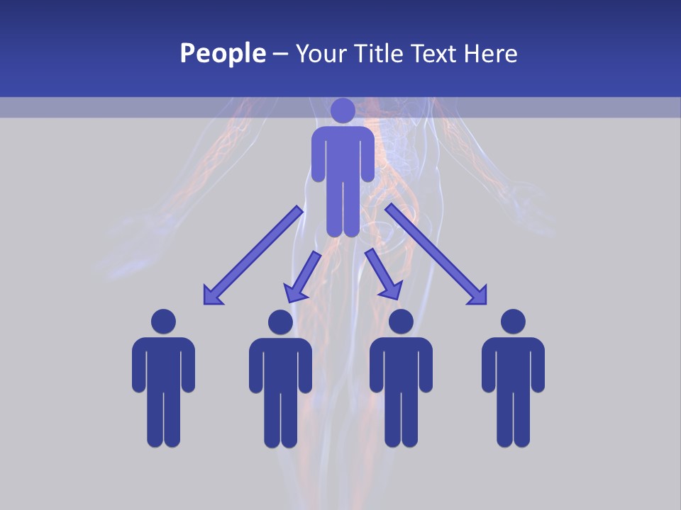 Cardio Body Man PowerPoint Template