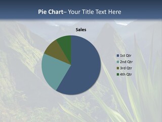 Indian Dawn Canyon PowerPoint Template