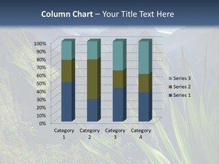 Indian Dawn Canyon PowerPoint Template