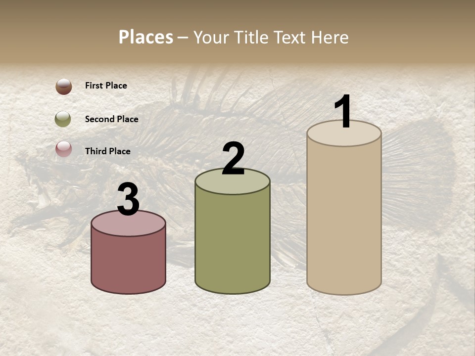 Evolution Skeleton Petrified PowerPoint Template