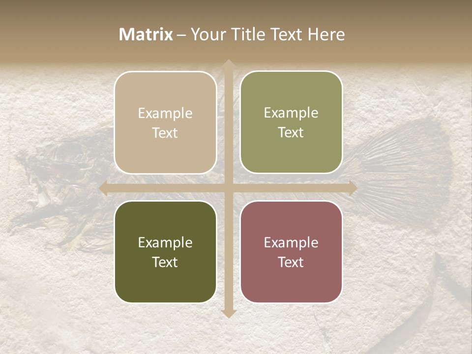 Evolution Skeleton Petrified PowerPoint Template