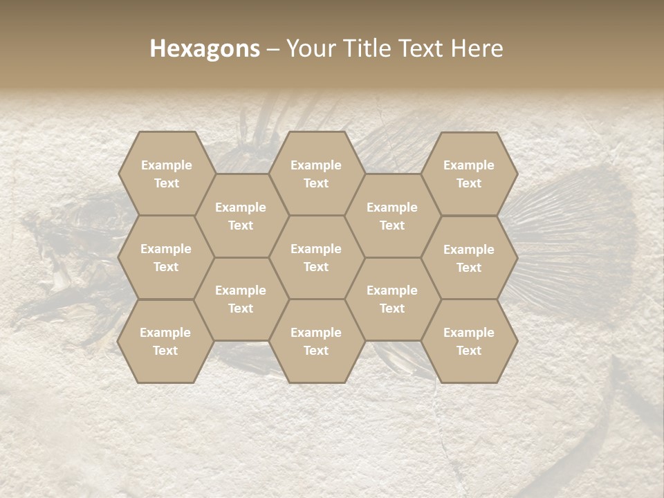 Evolution Skeleton Petrified PowerPoint Template