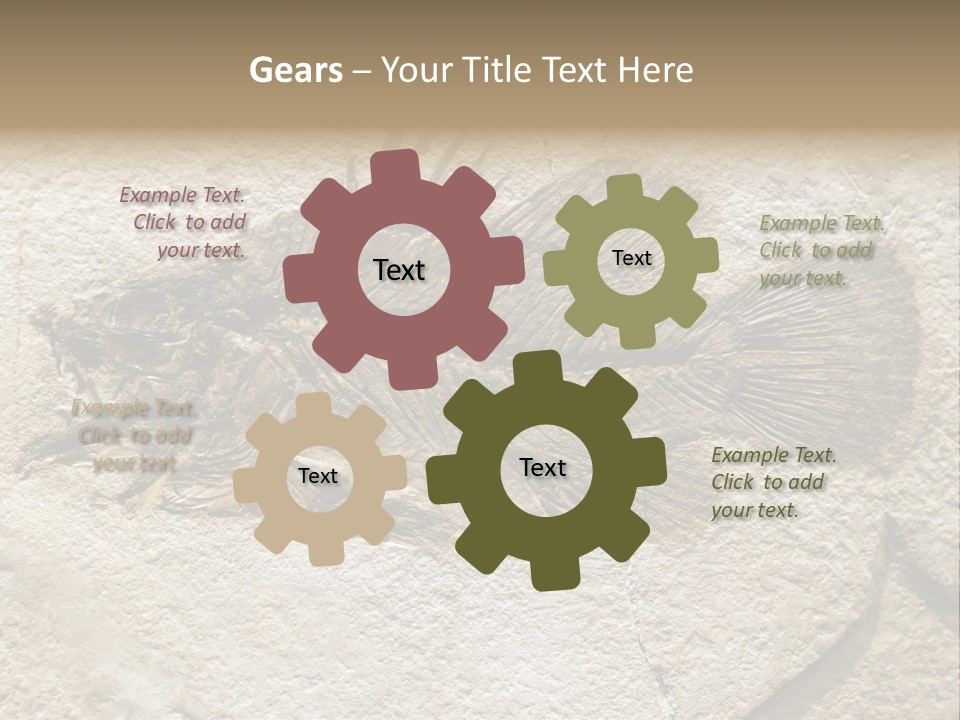 Evolution Skeleton Petrified PowerPoint Template