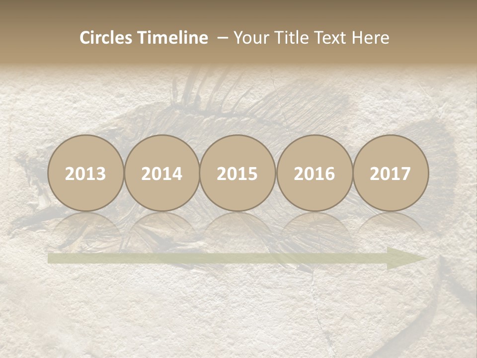 Evolution Skeleton Petrified PowerPoint Template