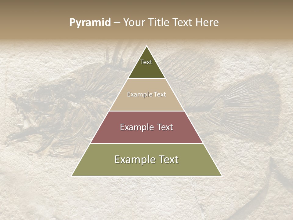 Evolution Skeleton Petrified PowerPoint Template