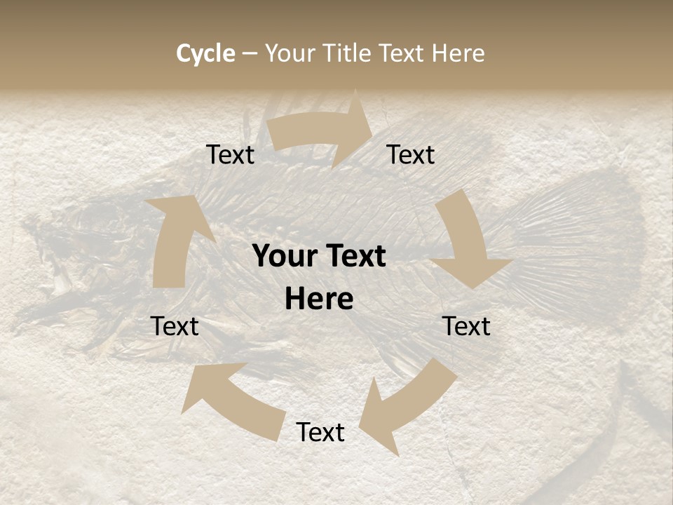 Evolution Skeleton Petrified PowerPoint Template