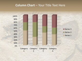 Evolution Skeleton Petrified PowerPoint Template