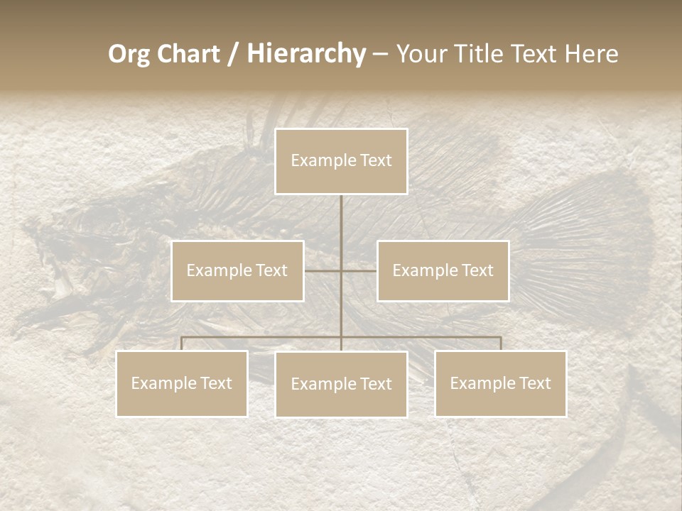 Evolution Skeleton Petrified PowerPoint Template