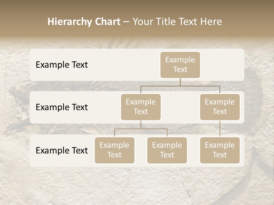 Evolution Skeleton Petrified PowerPoint Template