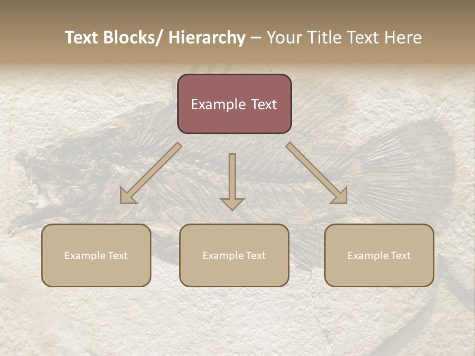 Evolution Skeleton Petrified PowerPoint Template
