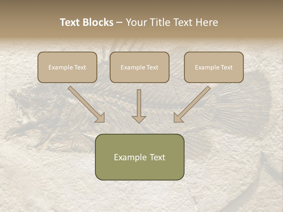 Evolution Skeleton Petrified PowerPoint Template
