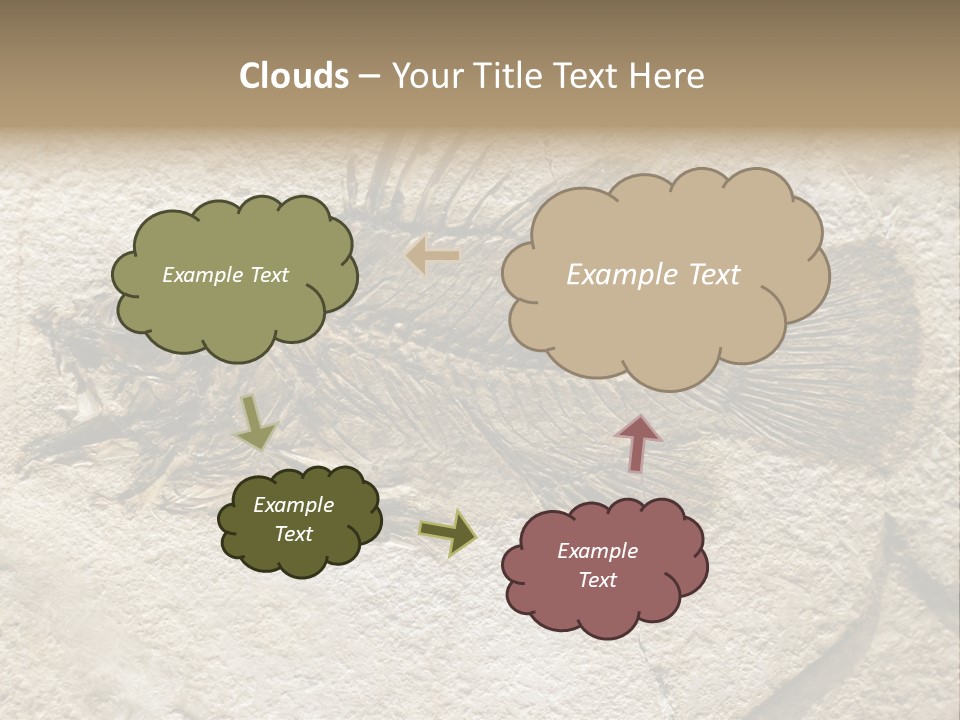 Evolution Skeleton Petrified PowerPoint Template
