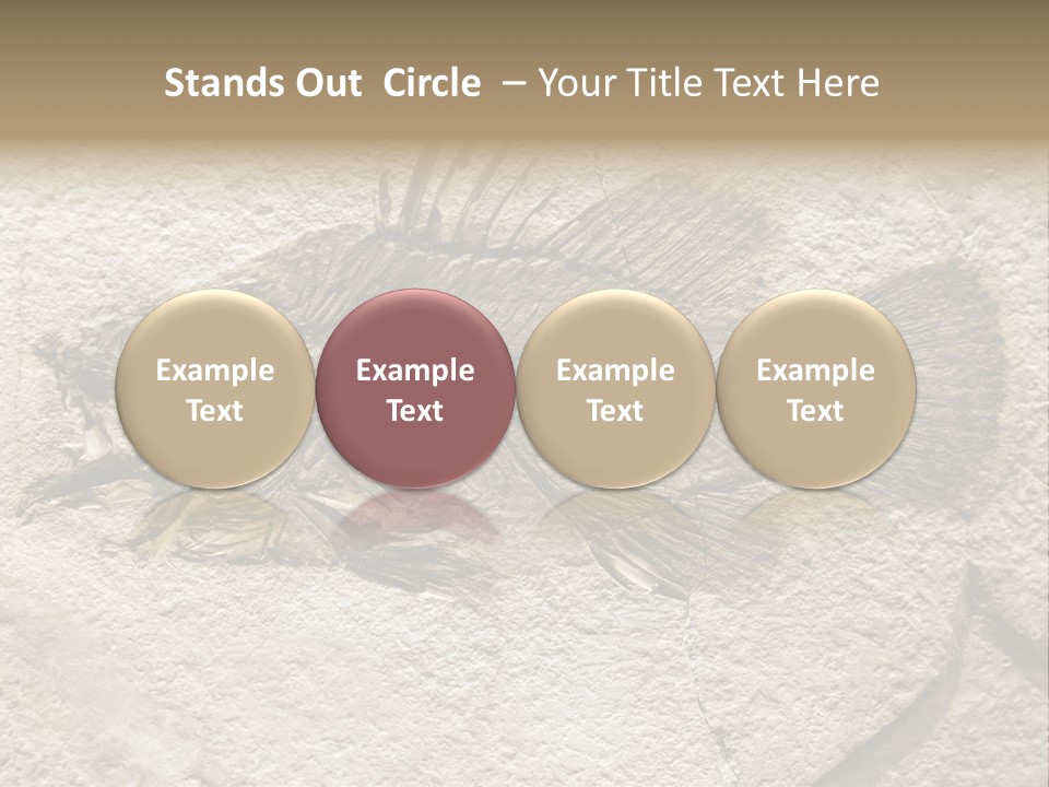 Evolution Skeleton Petrified PowerPoint Template