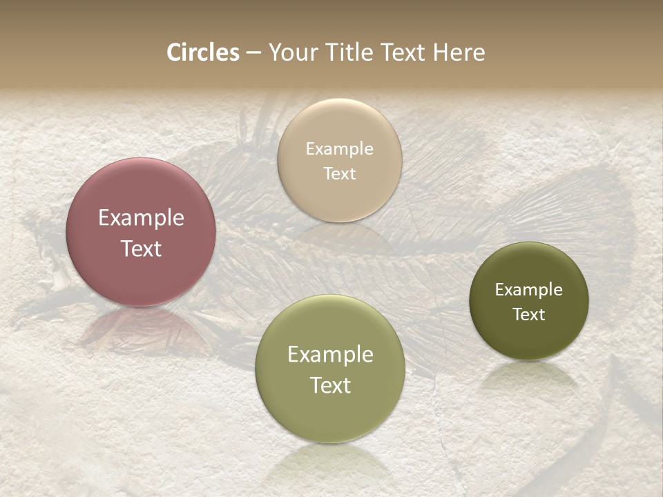 Evolution Skeleton Petrified PowerPoint Template