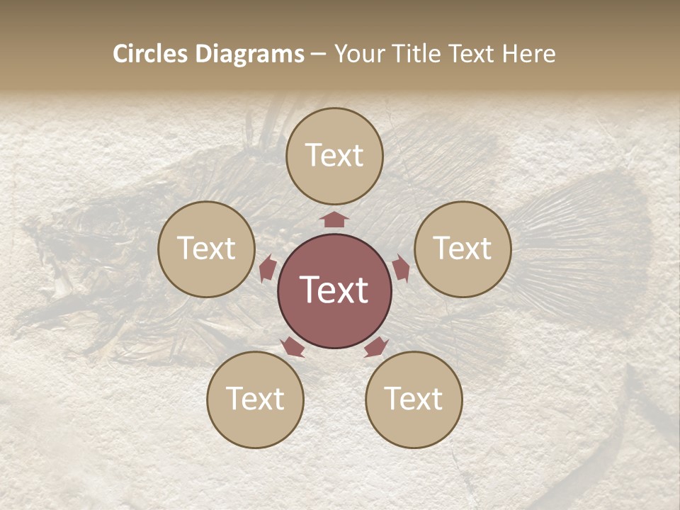 Evolution Skeleton Petrified PowerPoint Template