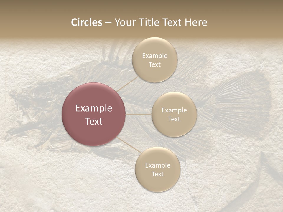 Evolution Skeleton Petrified PowerPoint Template