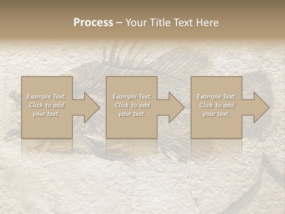 Evolution Skeleton Petrified PowerPoint Template