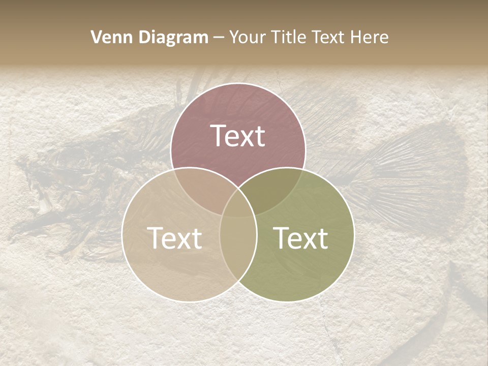 Evolution Skeleton Petrified PowerPoint Template