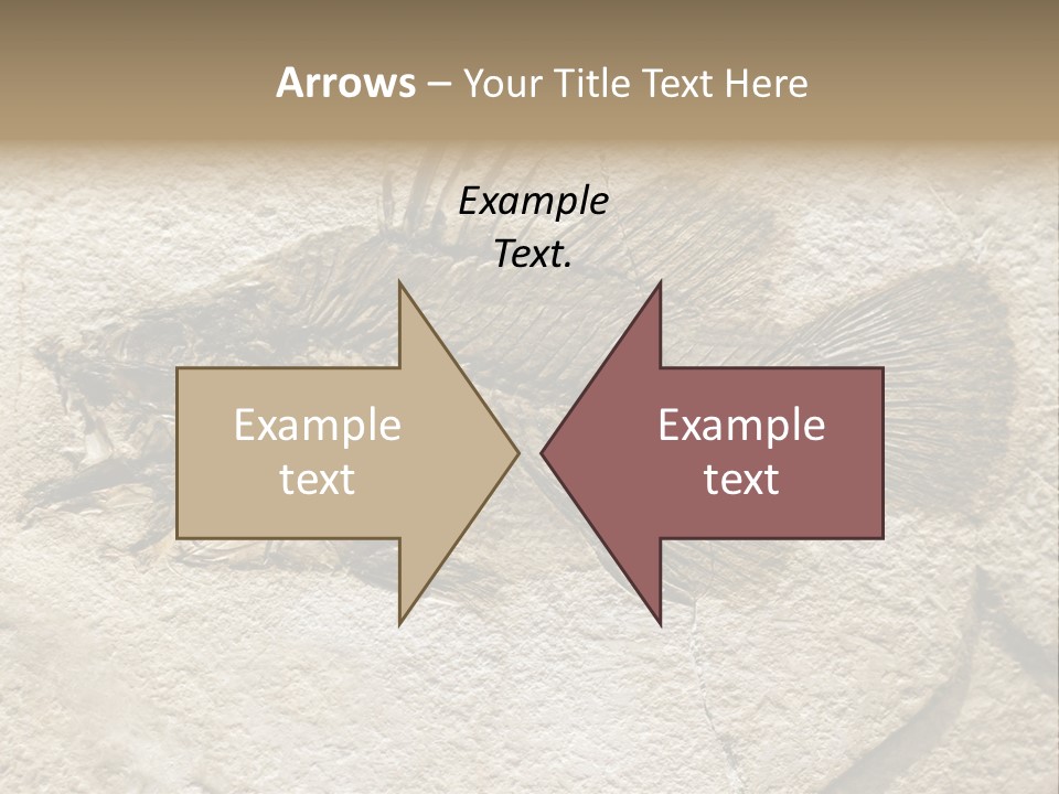 Evolution Skeleton Petrified PowerPoint Template