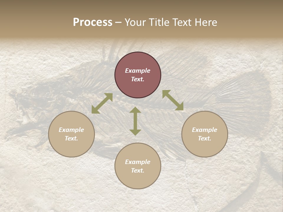 Evolution Skeleton Petrified PowerPoint Template