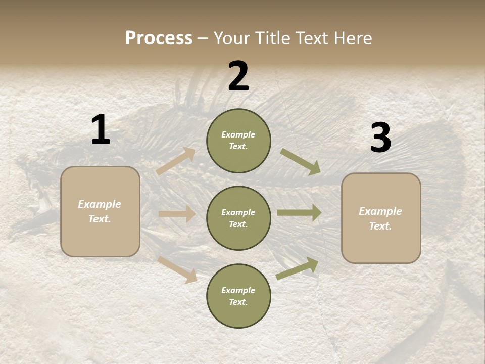 Evolution Skeleton Petrified PowerPoint Template