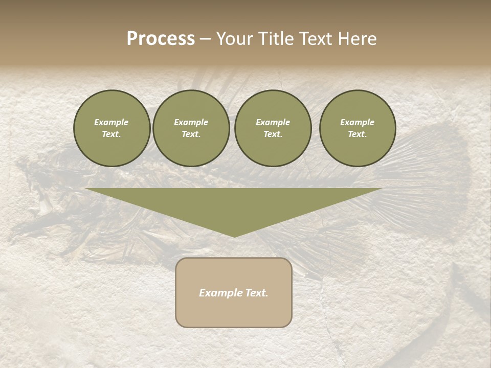Evolution Skeleton Petrified PowerPoint Template