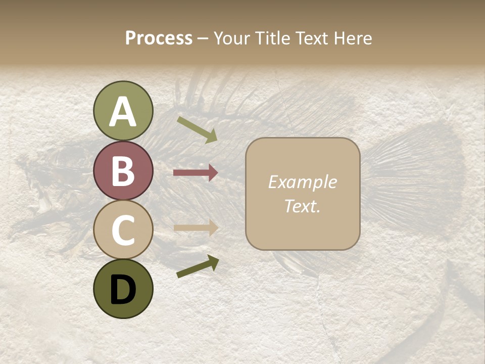 Evolution Skeleton Petrified PowerPoint Template