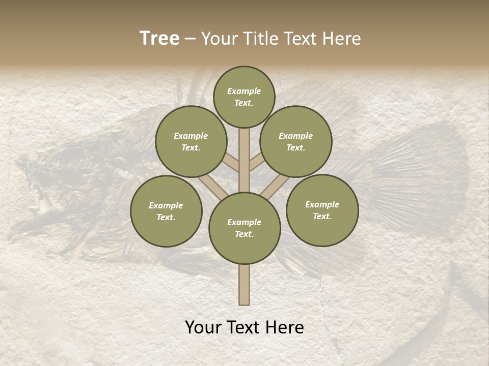 Evolution Skeleton Petrified PowerPoint Template