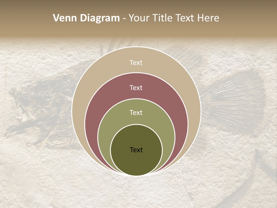 Evolution Skeleton Petrified PowerPoint Template