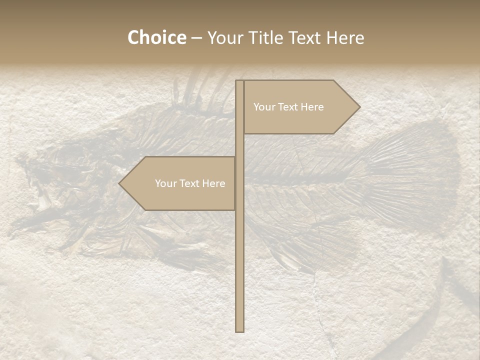 Evolution Skeleton Petrified PowerPoint Template