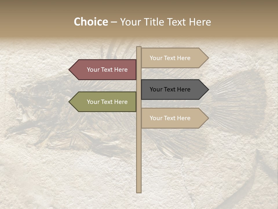 Evolution Skeleton Petrified PowerPoint Template