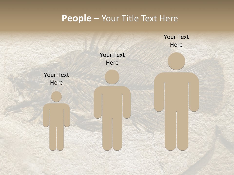 Evolution Skeleton Petrified PowerPoint Template