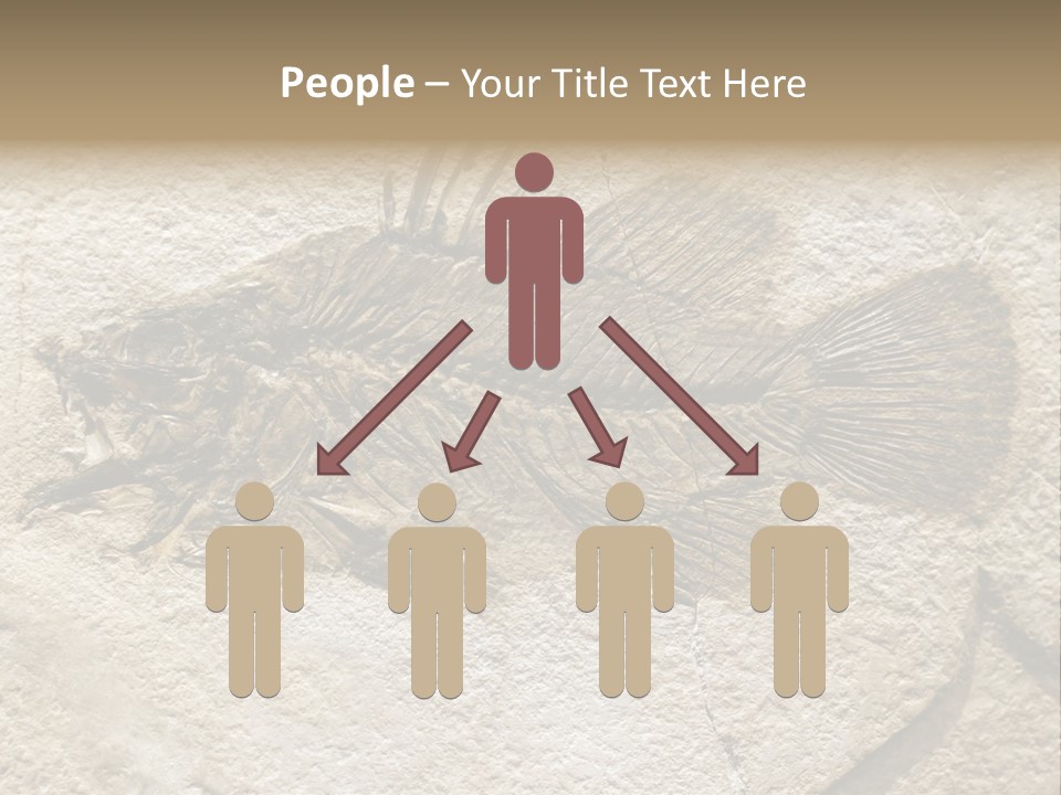 Evolution Skeleton Petrified PowerPoint Template