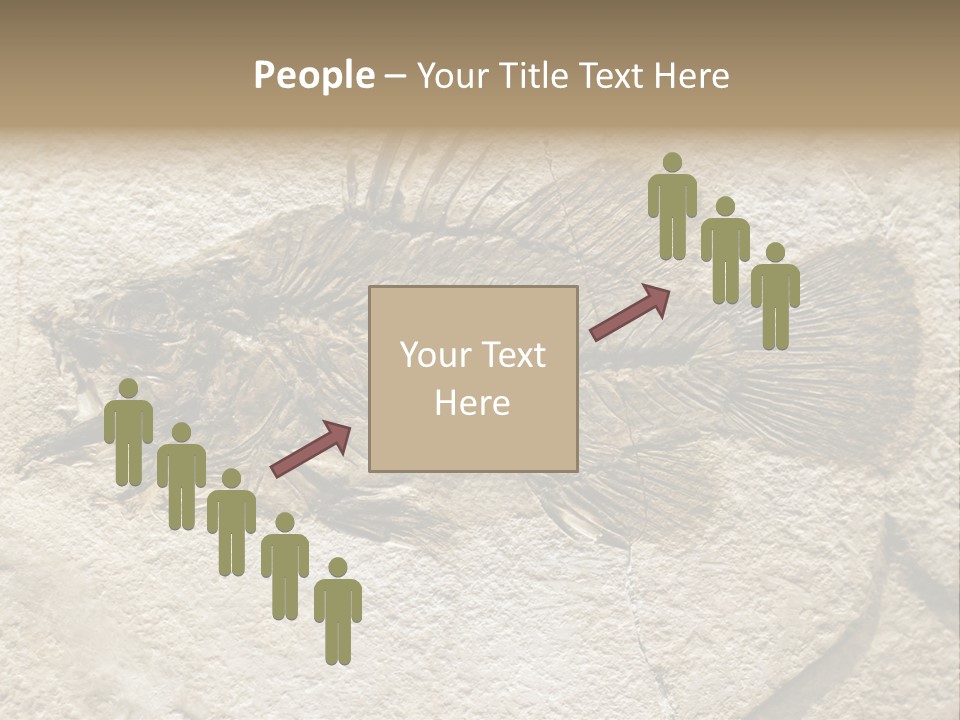 Evolution Skeleton Petrified PowerPoint Template
