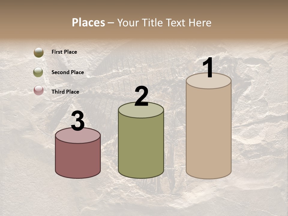 Remain Mineral Skeleton PowerPoint Template