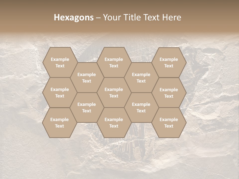 Remain Mineral Skeleton PowerPoint Template