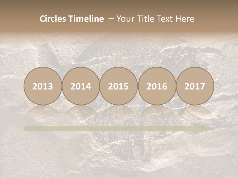 Remain Mineral Skeleton PowerPoint Template