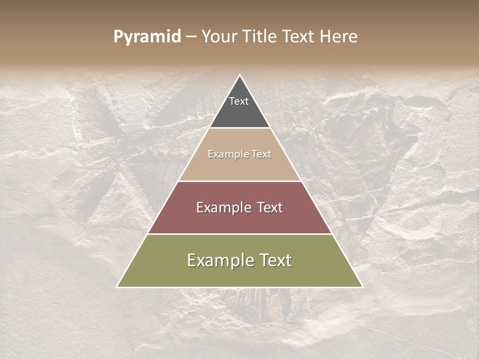 Remain Mineral Skeleton PowerPoint Template