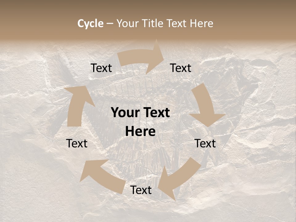 Remain Mineral Skeleton PowerPoint Template