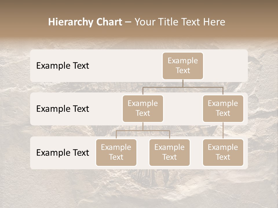 Remain Mineral Skeleton PowerPoint Template