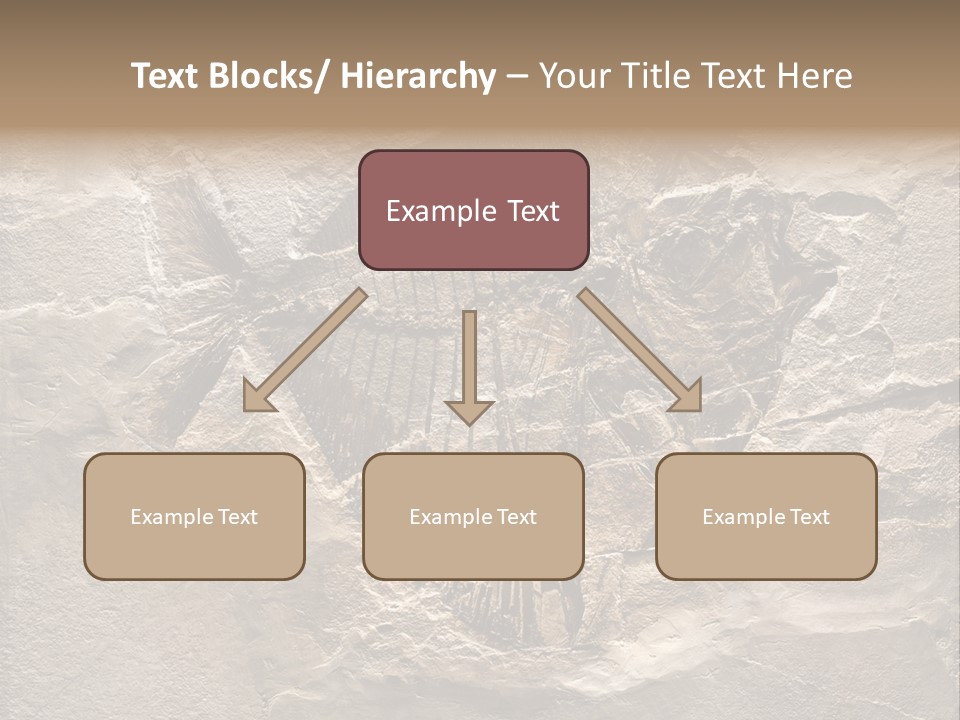Remain Mineral Skeleton PowerPoint Template
