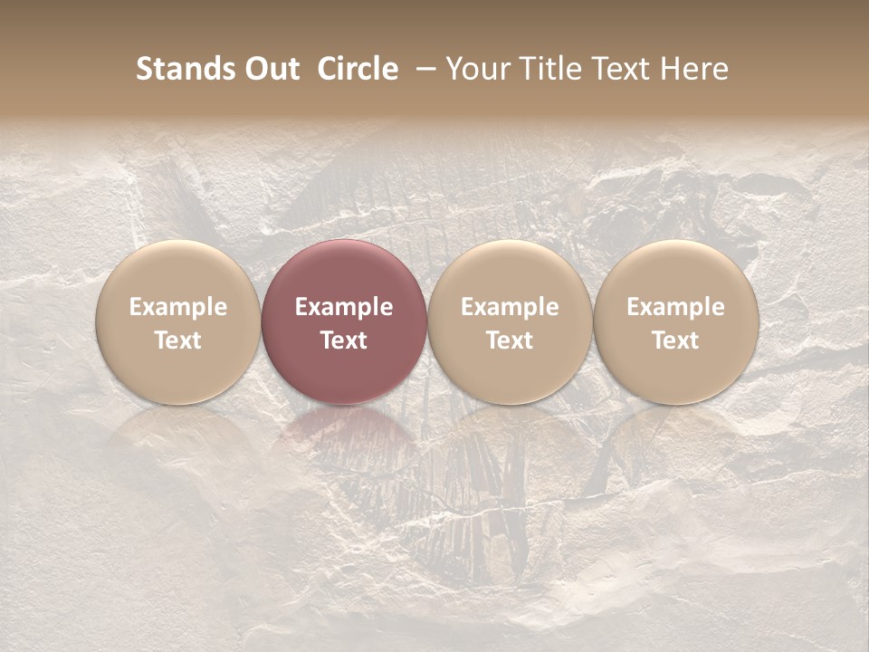 Remain Mineral Skeleton PowerPoint Template
