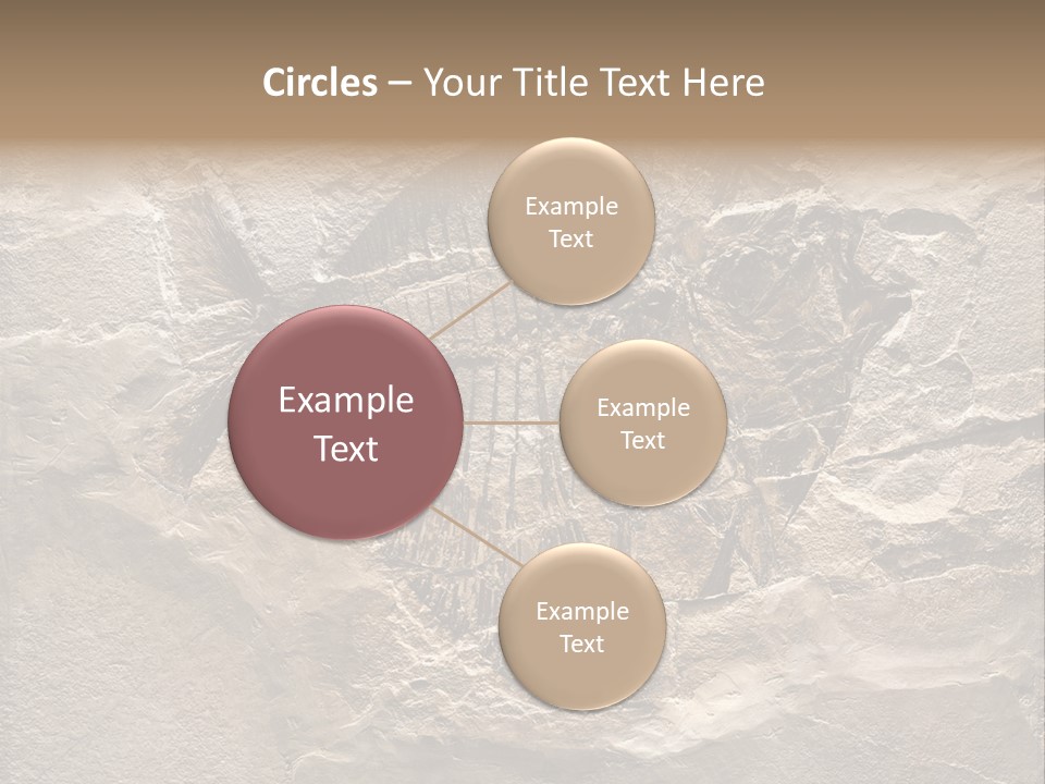 Remain Mineral Skeleton PowerPoint Template