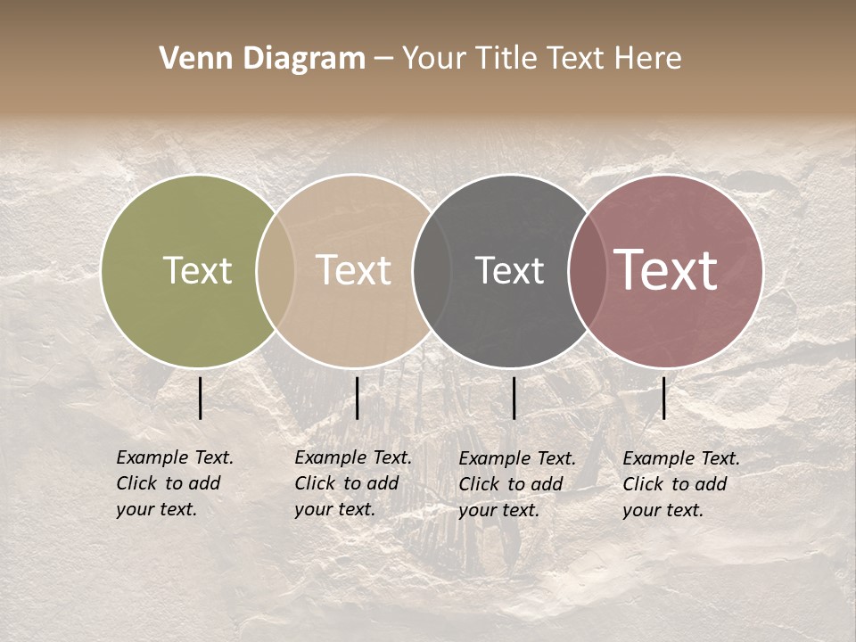 Remain Mineral Skeleton PowerPoint Template