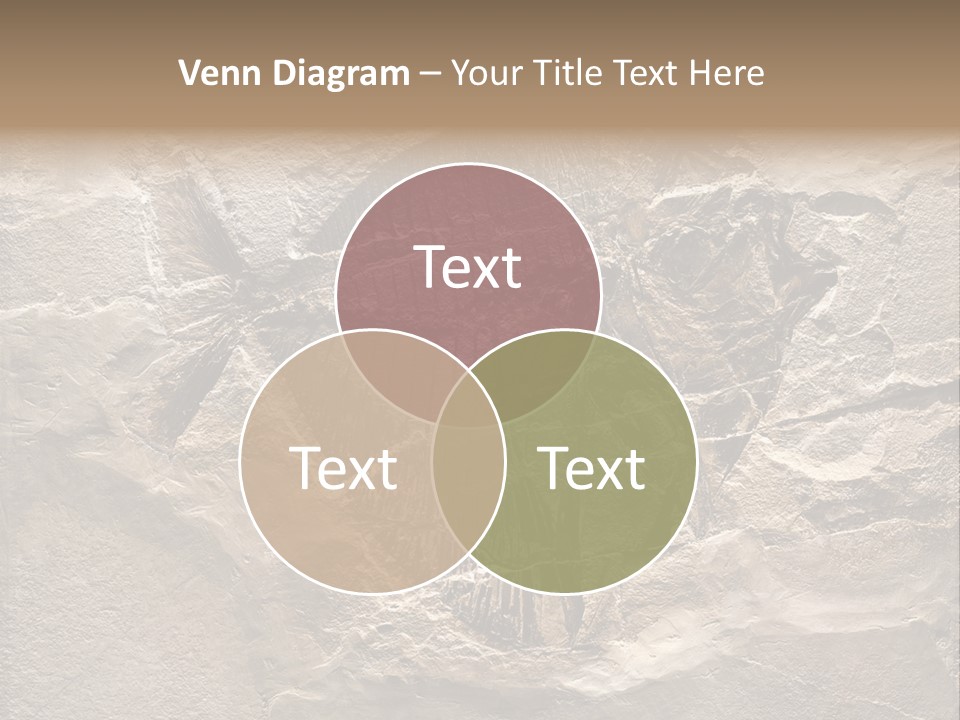 Remain Mineral Skeleton PowerPoint Template