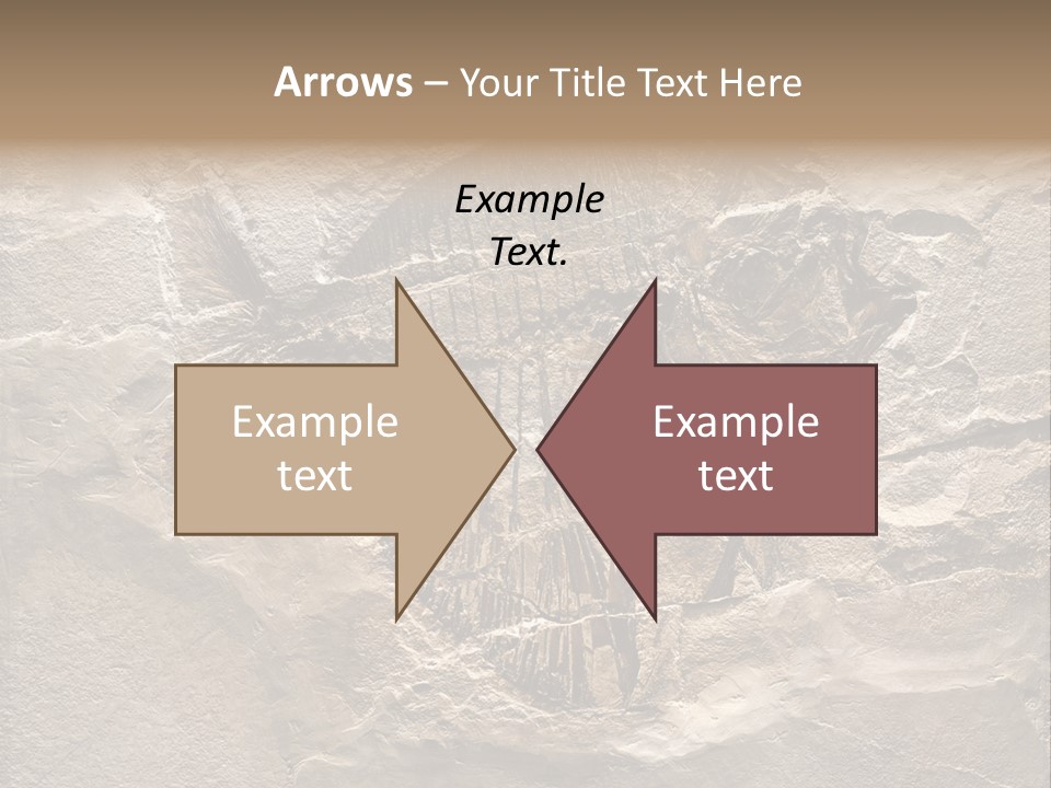 Remain Mineral Skeleton PowerPoint Template