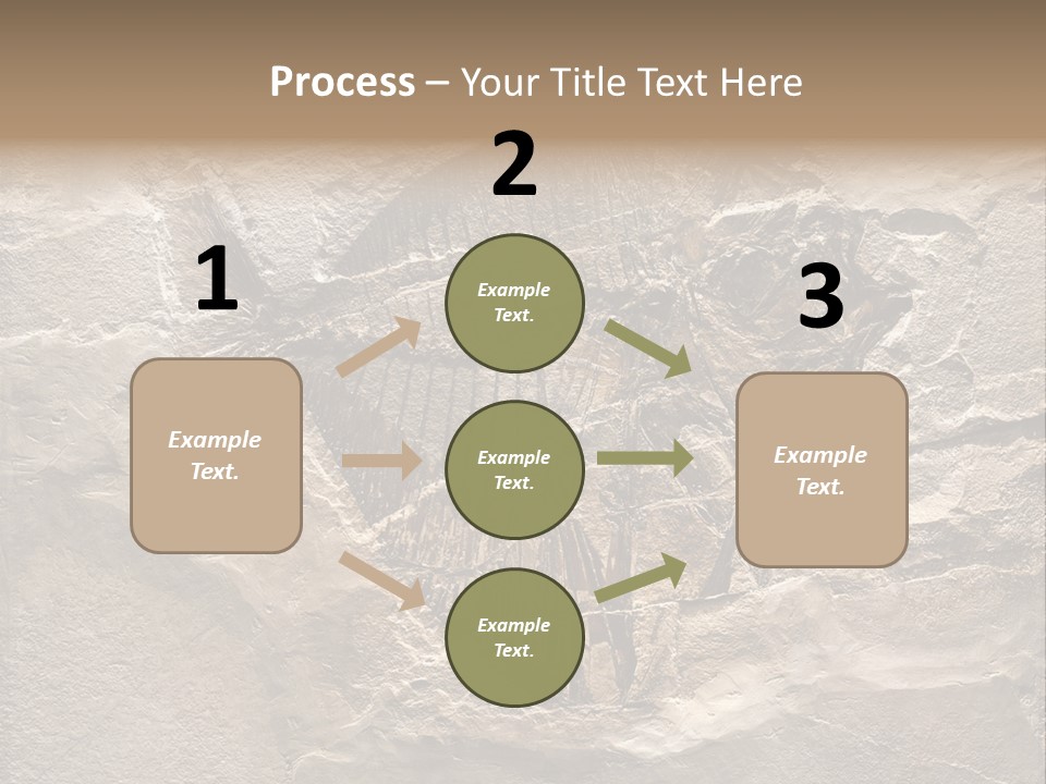 Remain Mineral Skeleton PowerPoint Template